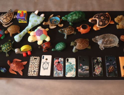 Největší sbírka předmětů s motivem želvy